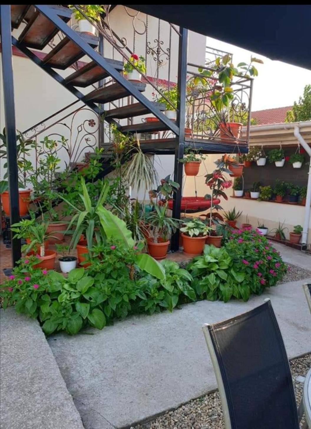 Hotel Vila Robert à Schitu Extérieur photo