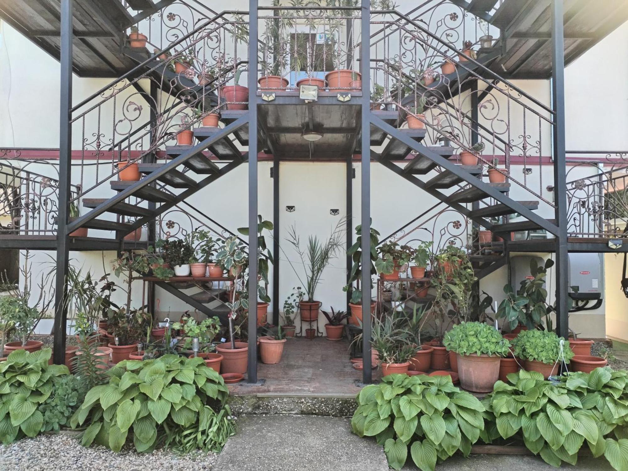 Hotel Vila Robert à Schitu Extérieur photo